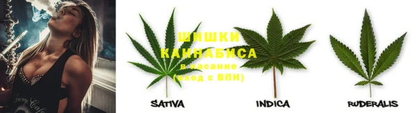 ГАЛЛЮЦИНОГЕННЫЕ ГРИБЫ Абинск