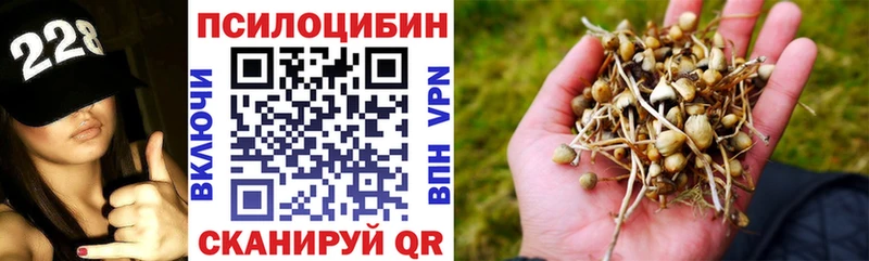 купить наркоту  Щёлково  Галлюциногенные грибы прущие грибы 